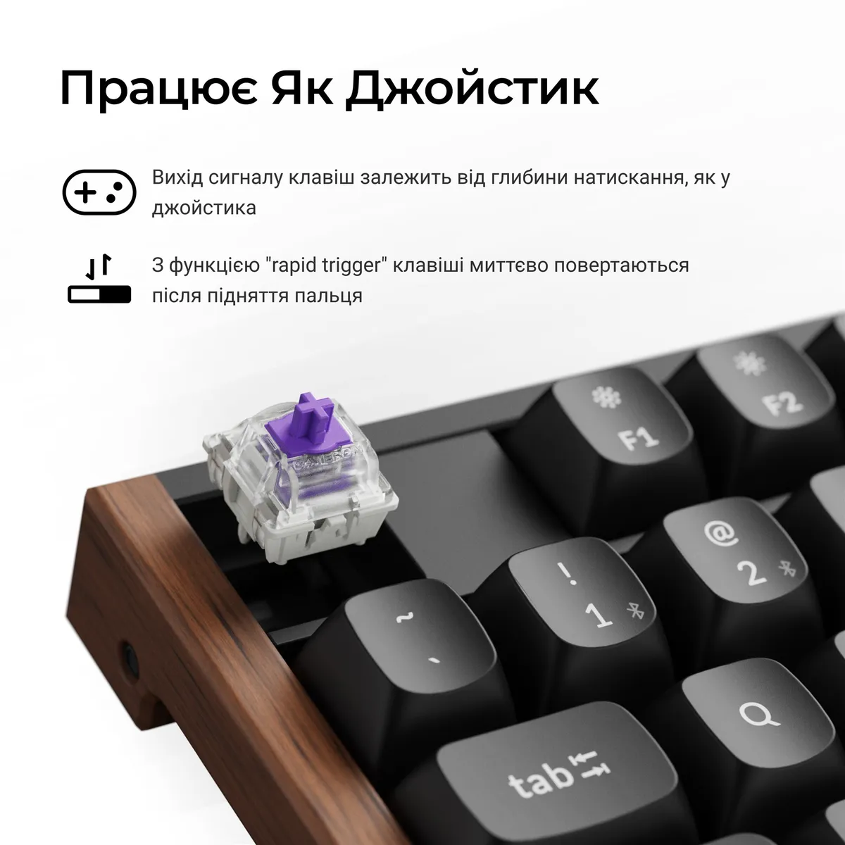 Клавіатура бездротова Keychron K10 HE Magnetic Switch Black RGB (K10H-F1-UA) - мініатюра 11