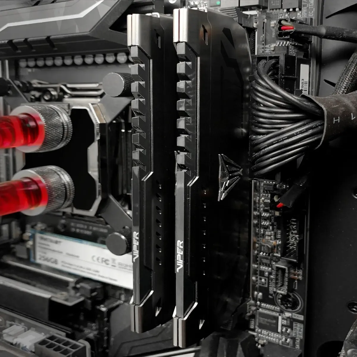 Модуль памяти DDR4 2x16GB/3600 Patriot Viper Steel (PVS432G360C8K) - мініатюра 7