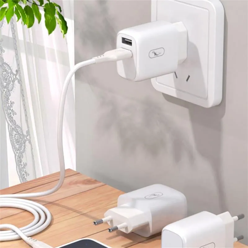 Зарядний пристрій SkyDolphin SC22EBL (2USB, 2.1A) White (MZP-000162) + кабель Lightning - мініатюра 2