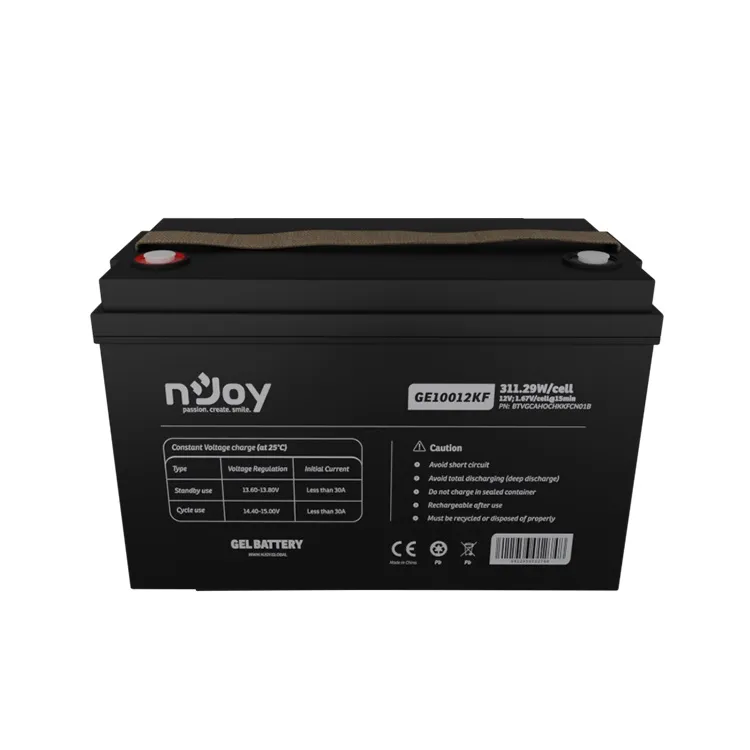 Акумуляторна батарея Njoy GE10012KF 12V 100AH (BTVGCAHOCHKKFCN01B) GEL - зображення 1