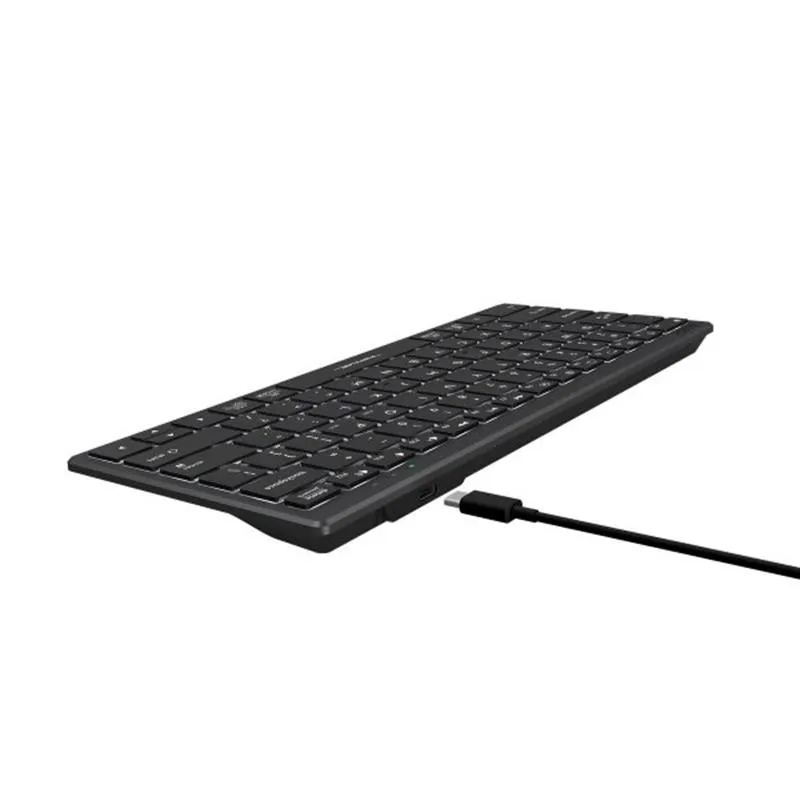 Клавіатура A4Tech Fstyler FX61 Grey - мініатюра 8
