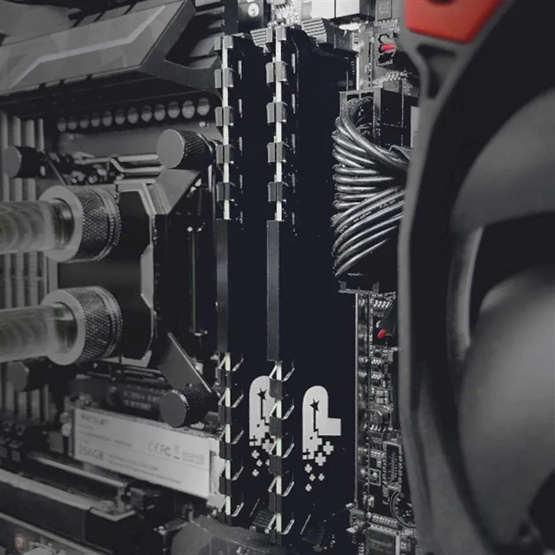 Модуль пам`яті DDR4 2x16GB/3200 Patriot Signature Line Premium (PSP432G3200KH1) - мініатюра 5