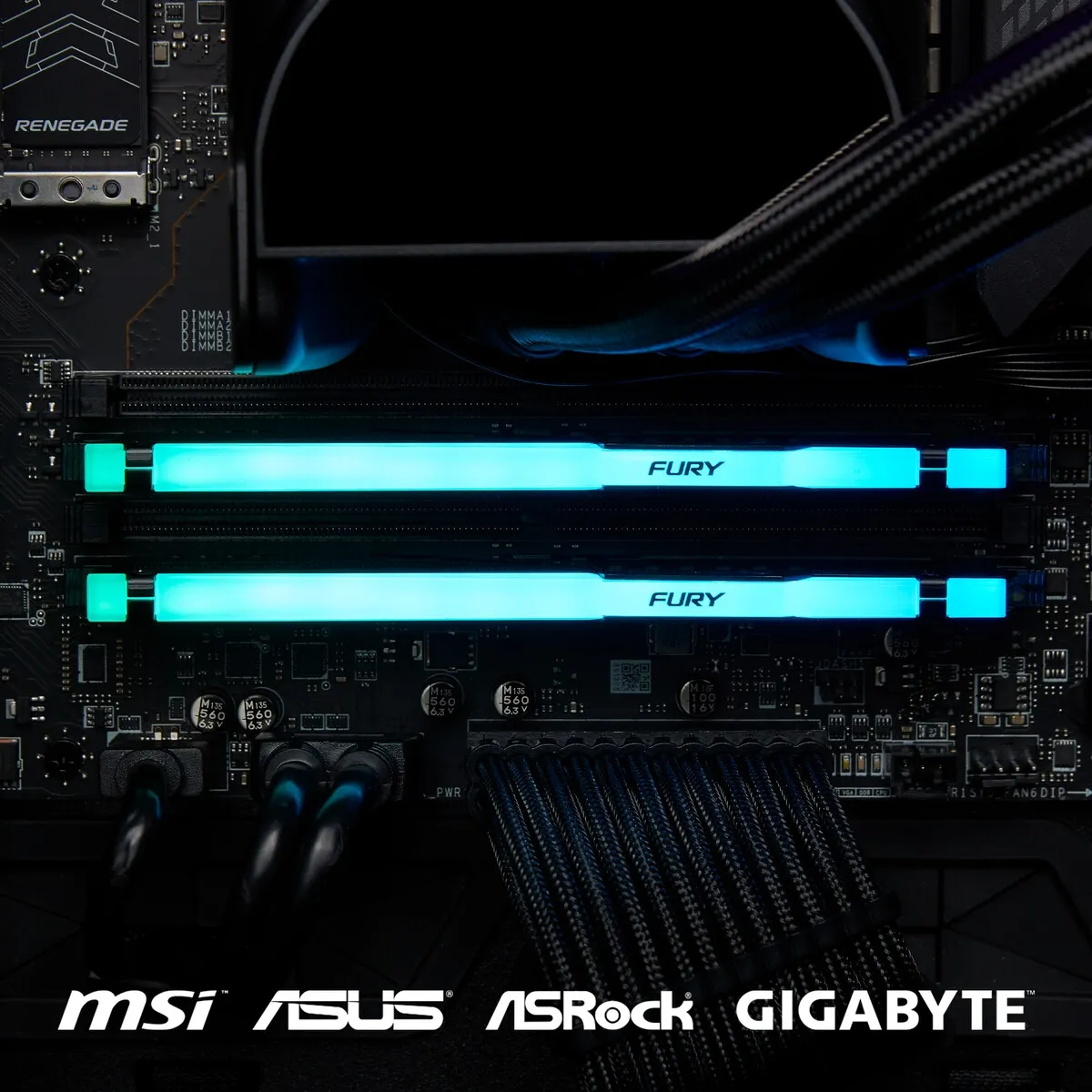 Модуль пам`яті DDR5 2x8GB/5200 Kingston Fury Beast RGB Black (KF552C40BBAK2-16) - мініатюра 11