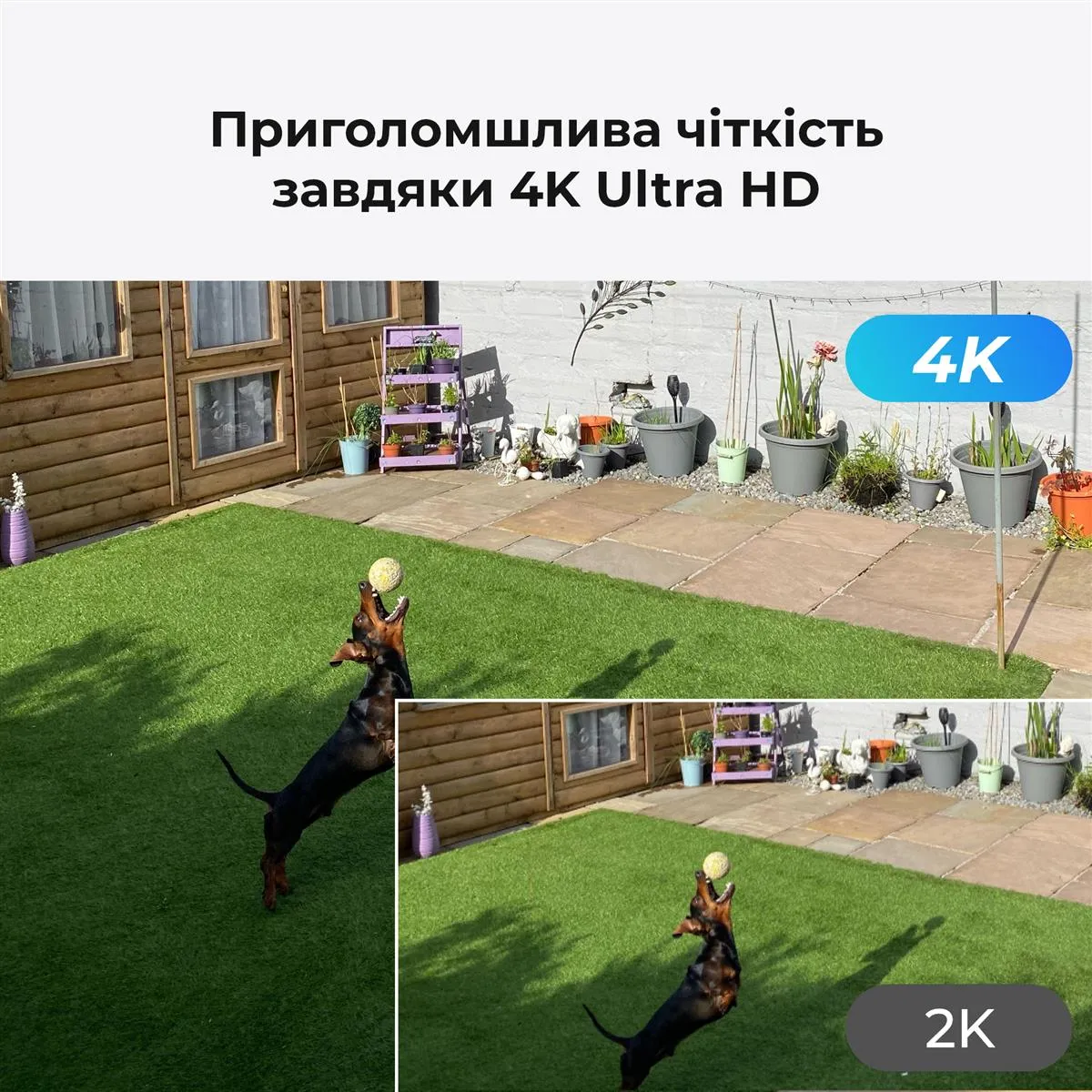 IP-камера Reolink P330 2.8 mm (RLC-810A) - мініатюра 7
