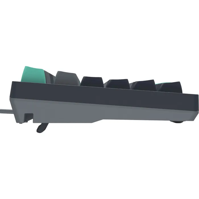 Клавіатура A4Tech Fstyler FS300 Panda Rock Climbing - мініатюра 3