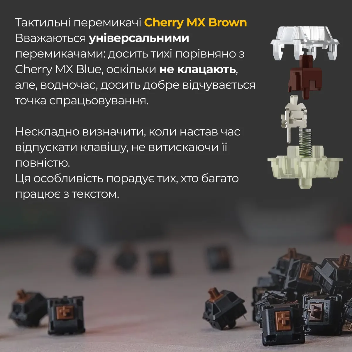 Клавіатура Ducky One 3 Mini Cherry MX Brown RGB UA USB Black (DKON2161ST-BUAPXCLAWSC1) - мініатюра 9